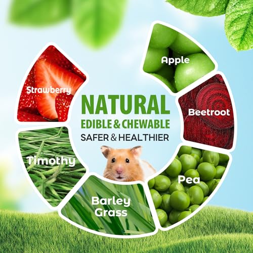 TEEWY Guinea Pig Chew Toys, Natural Vegetables and Timothy Grass, Hamster Chew Toys, Prevents Excessive Tooth Growth in Chinchillas, Gerbils, Hamsters, and Rabbits, Fruits & Vegetables Set - style: 3PCS-Fruit & Vegetable