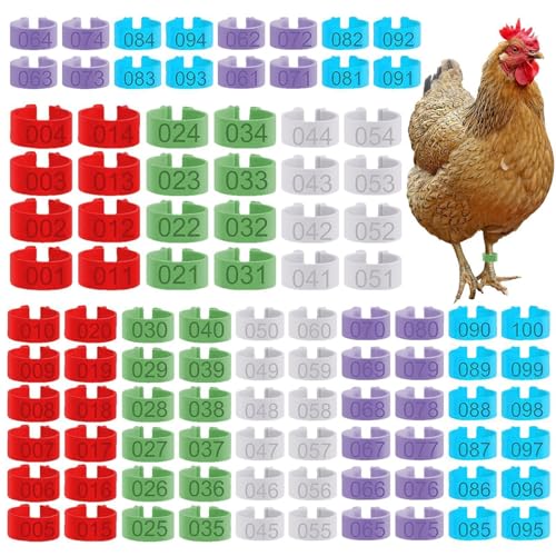 Poultry Leg Bands | Poultry Chicks Identification Tags Multicolor | Id Rings Management Equipment for Animal Breeding Farms Research Institutions