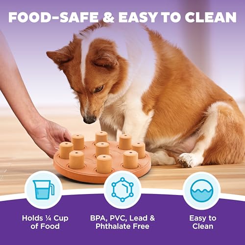 Outward Hound by Nina Ottosson Dog Smart Treat Puzzle Enrichment Toy, Level 1 Beginner, Orange, Composite - color: Dog Smart Composite (Orange)