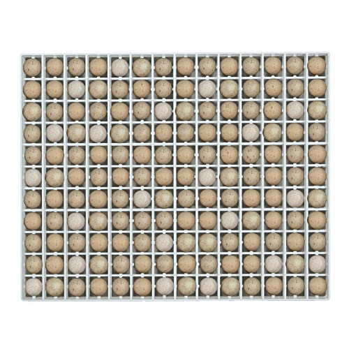 Hatching Time Egg Setter Tray (156 Partridge Eggs), Good Fit, Durable, Washable, Easy to Clean, Cimuka, Fits Incubators, ABS Plastic - style: 156 Egg Setter Tray - Partridge