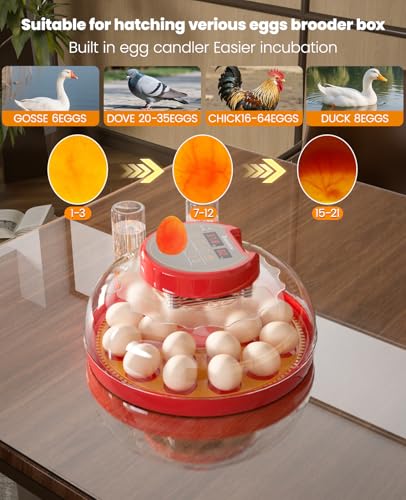 18-24 Incubators for Hatching Eggs with Automatic Egg Turning and Humidity Control Automatic Water Refill,Egg Candler Nature Right 360 Incubator Duck Quail Chick Turkey Hatching Incubator - size: 18