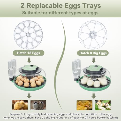 18 Egg Incubator with Automatic Egg Turning - Hatching Unit with Digital Control & Built-in Candler, 2 Size Egg Tray, Automatic Water Refill, Egg Incubator for Hatching Chicken Quail Duck Turkey Goose