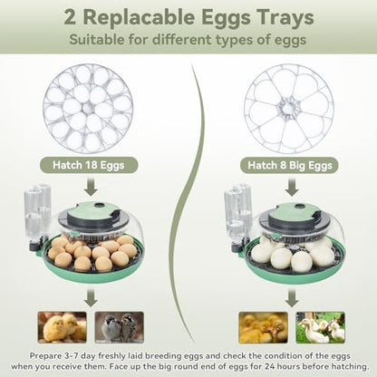 18 Egg Incubator with Automatic Egg Turning - Hatching Unit with Digital Control & Built-in Candler, 2 Size Egg Tray, Automatic Water Refill, Egg Incubator for Hatching Chicken Quail Duck Turkey Goose