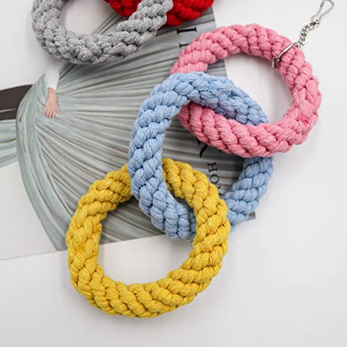 Dnoifne 2 Pack Sugar Glider Hanging Three-Ring Climbing Toys, Colorful Sugar Glider Swing Toys, Pet Activity Structure For Parrot Hamster Chinchilla Squirrel Ferret Rat