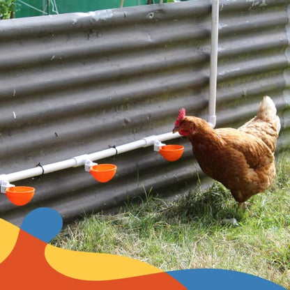 Lil'Clucker PVC Waterer Cups and Nesting Set - 5 Large Automatic Chicken Waterer Cups with 1/2" PVC Tee Fittings – Orange | 4 Washable Chicken Nesting Pads for Laying Eggs, Gray Nest Box Pads