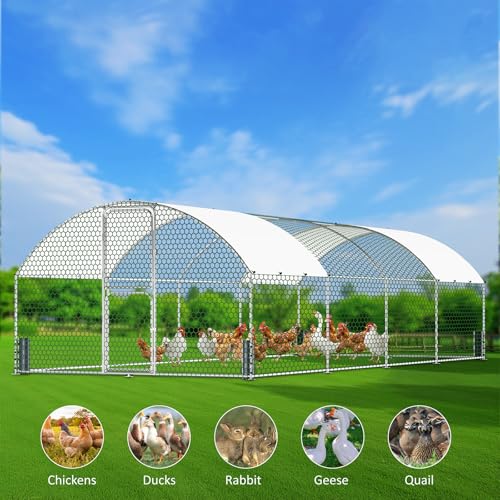 Large Metal Chicken Coop, Walk-in Chicken Run with Feeding Door, Security Lock and Cover, Outdoor Duck/Rabbit Cage Poultry Pen for Backyard, Farm, Yard (Silver - Dome Roof, 26.2 x 9.8 x 6.6 FT) - size: 314.0"L x 118.1"W x 78.7"H