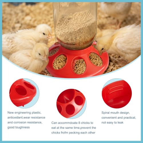 No Drown Screw-On Chick Waterer and Feeder Base Quail & Chick Compatible with 1 Little Pint Threaded Neck Bottle（Bottle not Included