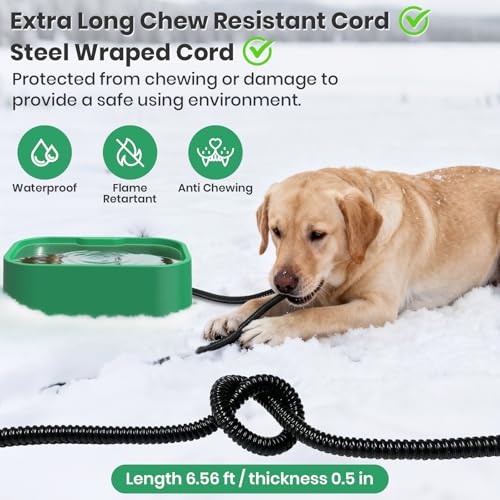 IPOW Extra Large Heated Water Bowl with 5 Layers Design for Heating & Heat Preservation Provides Drinkable Water & Food in Winter Heated Pet Bowl for Cat Rabbit Chicken Duck Squirrel, 194 fl oz - color: Green