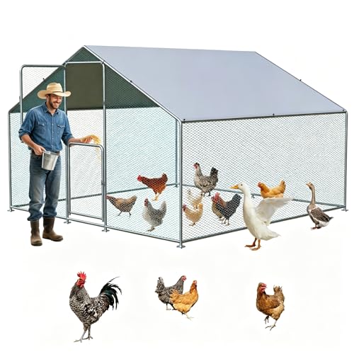 Large Metal Chicken Coop with Run, Walkin Poultry Cage for 10 Chickens with Full-coverage PE Roof, Waterproof & Anti-UV Cover, Double Lockable Doors, Outdoor Hen/Duck/Rabbit House (9.8 x 6.6 x 6.6 FT) - size: 118.1"L x 78.7"W x 78.7"H