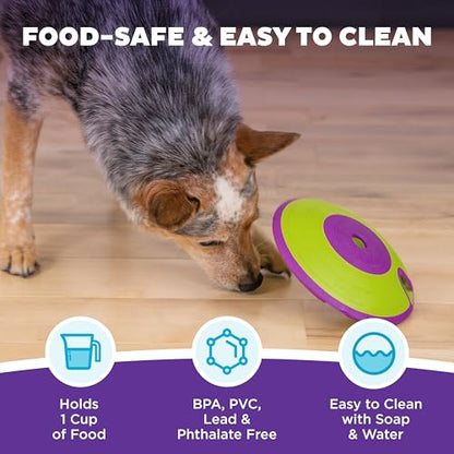 Outward Hound by Nina Ottosson Dog Treat Maze Dog Puzzle Enrichment Toy, Level 2 Intermediate, Green - color: Treat Maze (Purple, Green)