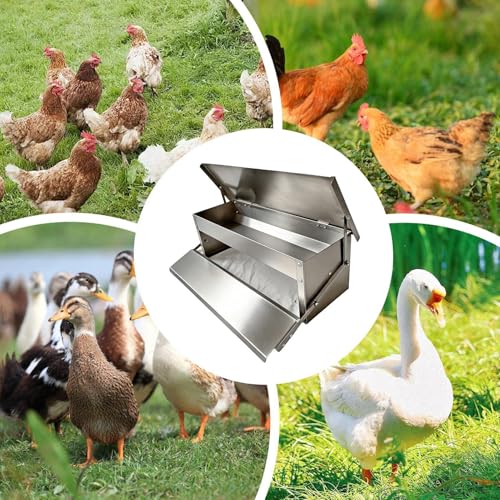 Automatic Chicken Feeder, with Weighted Bottom, 51x18x18cm, Metal Treadle Poultry Feeder, Poultry Food Dispenser, Treadle-Activated Feeding, for Backyard Coop Outdoor Farm Garden