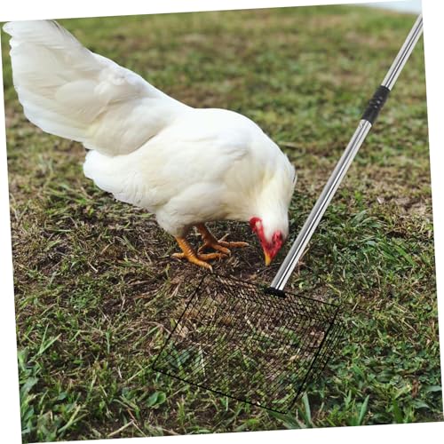 DOITOOL Scooper for Waste Long Metal Poultry with Large Detachable Handle and 66.8" Removal Manure Cleaning in Animal Agricultural and Livestock Stall Supplies