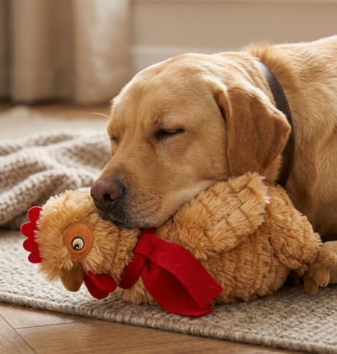Fuzzl Plush Super Soft Cheeky Chicken - Golden Brown Dog Toy & Comforter – Cuddly Plush with Squeaker, Gentle Dog Toy for Puppies & Small to Medium Dogs - style: Golden Hen