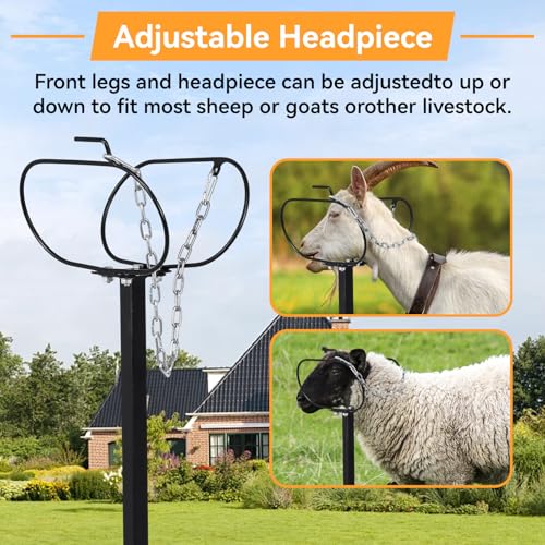 Goat Milking Stand for Trimming Hooves, 47x23" Heavy Duty Metal Sheep Stand & Livestock Shearing Platform with Headpiece, Rust-Resistant Farm Equipment for Washing, Grooming & Milking