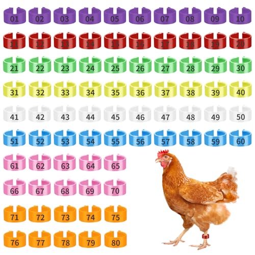 80Pcs Chicken Leg Bands,20mm Chicken Tags for Legs with 8 Colors,Colorful 01-80 Numbered Chickens Identification Leg Bands,Poultry Legs Tags for Chicks Ducks Pigeons Goose Bird Supplies