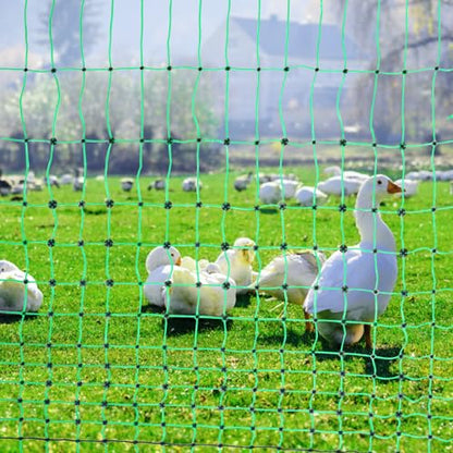 VEVOR Electric Poultry Netting, 48" H x 168' L, PE Net Fencing Kit with Posts & Double-Spiked Stakes, Utility Portable Mesh for Chickens, Ducks, Geese, Rabbits, Used in Backyards, Farms, and Ranches - size: 48in*168ft, style: Poultry