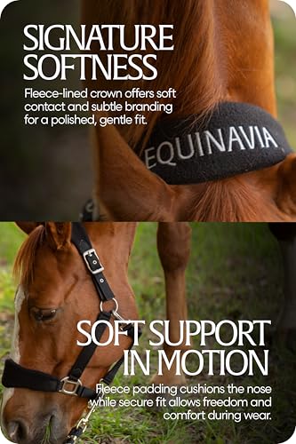 Equinavia Saga Fleece Padded Breakaway Halter - Black - Cob - color: Black, size: Cob