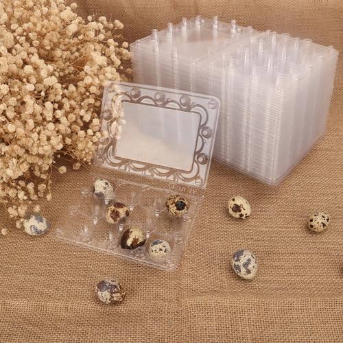 200 Pack Quail Egg Cartons, Clear Plastic Quail Egg Trays, Holds up to 12 Quail Eggs Securely - Your Ultimate Small Eggs Carton Holders for Bulk Storage and Display - size: 200 Pack Quail Egg Cartons 12 Grids