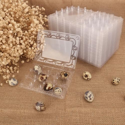 200 Pack Quail Egg Cartons, Clear Plastic Quail Egg Trays, Holds up to 12 Quail Eggs Securely - Your Ultimate Small Eggs Carton Holders for Bulk Storage and Display - size: 200 Pack Quail Egg Cartons 12 Grids