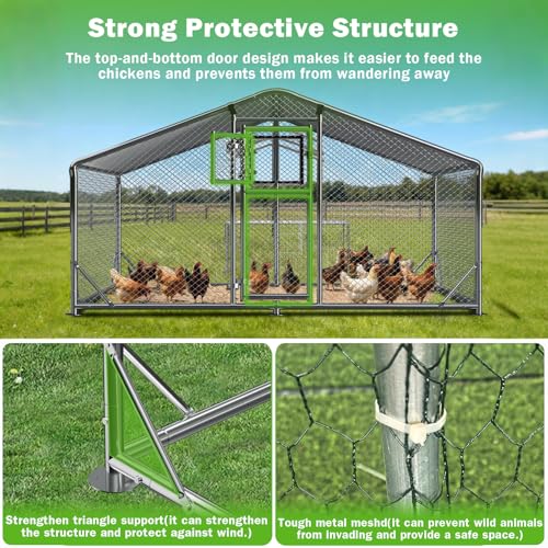 10x6.5FT Metal Chicken Coop, Dutch Door Chicken Run with Chicken Perch, Cover and Chicken Wire, Walk in Duck Pen for Backyard Poultry and Pet Farming - size: 78.7"L x 118.1"W x 76.8"H