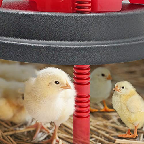 Brooder Heater for Chicks with Comfort Feathers,Chick Duckling Brooder Heating Plate Adjustable Height-Warm Up to 15 Chick,Ducklings(Heating Plate with Feather)