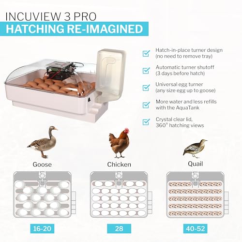IncuView 3 Pro All-in-One Automatic Egg Hatching Incubator with AquaTank - style: IncuView + AquaTank (Extra Capacity)