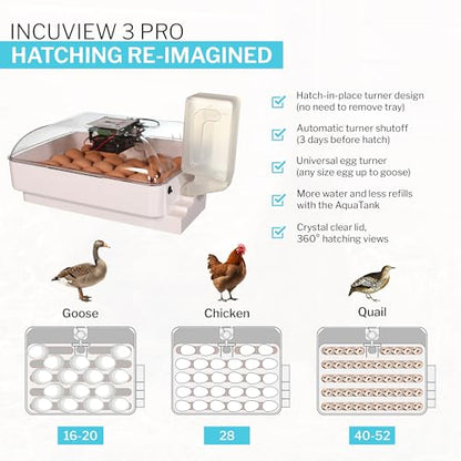 IncuView 3 Pro All-in-One Automatic Egg Hatching Incubator with AquaTank - style: IncuView + AquaTank (Extra Capacity)