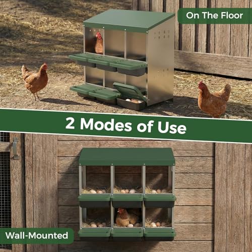 Heavy Duty Galvanized Steel Chicken Nesting Box – 6 Holes, Roll Away Egg Laying, Protective Lid, Wall Mounted or Freestanding, Easy Clean, Vented Pegboard Sides, Soft Mats, Green (Pegboard - color: Green, size: 6 Room&Mat Board