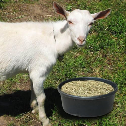 Animal Feed Bucket - 1 Gallon Rubber Trough, Heavy Duty Feeder Pan, Multipurpose Water Container | Outdoor Ranch Feeder for Small Animals