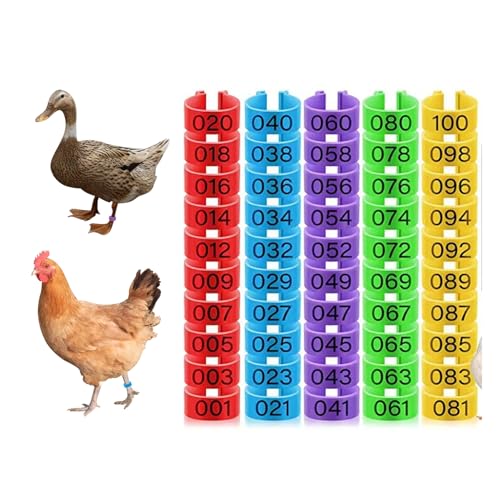 100 Pcs Chicken Leg Bands,16mm Chicken Bands,for Chicks Ducks Bantam Guinea Pigeons,for Easy Flock Management
