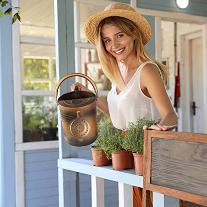 1 Gallon Metal Watering Can with Removable Spout, Nice Galvanized Steel Water Can for Indoor and Outdoor Plants (House Plants) - color: Bronze