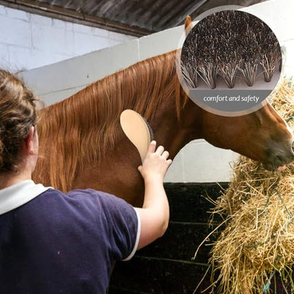 Cabilock Durable Shedding Comb and Livestock Cleaning Brush, Stiff Bristle Body Grooming Tool for Equine and Cattle, Sturdy Hair Removal Comb for Farm Use