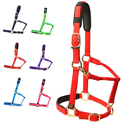 T TEKE Adjustable Horse Halters by Heavy Duty Soft Nylon, Padded with Anti-rubbing Waffle Neoprene on Both Crown & Nose - color: Red, size: Cob (M)