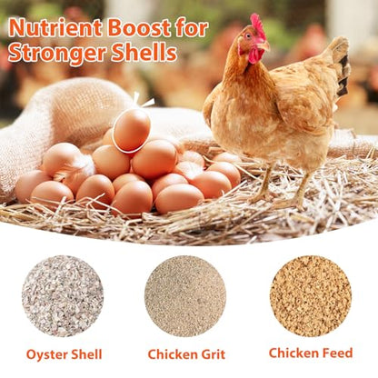 2Pack Chicken Grit Feeder, Metal Oyster Shell Feeder with Lid, Hanging Gravity Chicken Poultry Feeders Trough, Coop Accessories Supplies