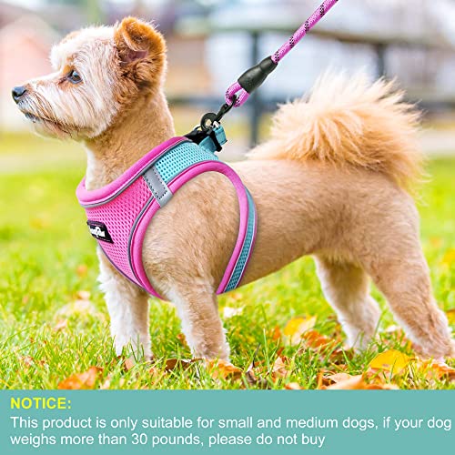 haapaw Dog Harness with Leash Set, No Pull Adjustable Reflective Step-in Puppy Harness with Thickened Padded Vest for Extra-Small/Small Medium Dogs - color: Blue / Pink, size: M