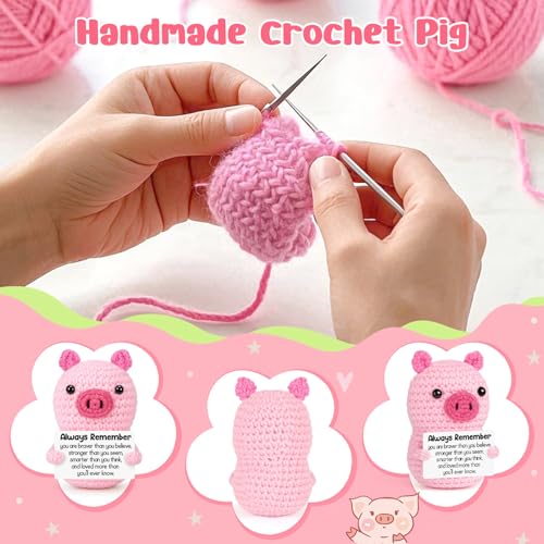 Mini Funny Birthday Handmade Crochet Pink Pig Encouraging Gift for Women | Back to School Gift for Student,Teacher Graduation Inspirational Cheer Up Support Gift for Girl Teen Friend Her Coworker - style: Always Remember