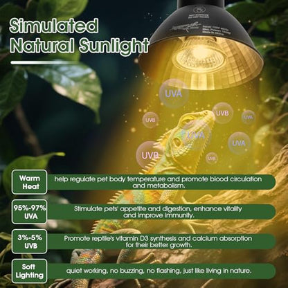 Reptile Heat Lamp Reptile Light Fixture 2Inch Shallow Dome with Dimmer and Cycle Timer, Max 100W, 2 Pack Heat Lamps UVB Bulb UVA Basking Light for Bearded Dragon Turtle Chicken Lizard Snake Gecko Tank