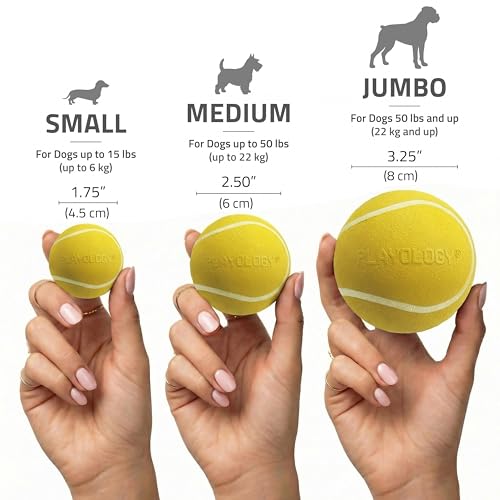 Playology Dog Toys | Squeaky Chew Ball for Dogs, Value 3-Pack | Chicken Scented Small Dog Balls | Bouncy Floating Chew Toys for Fetch - size: Small (VALUE 3-Pack), style: Chicken