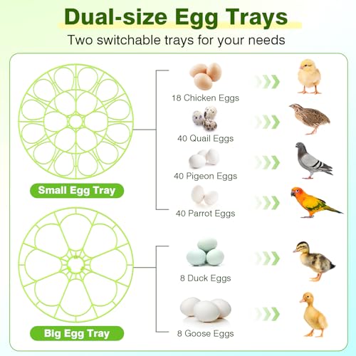 18 Chicken Egg Incubator with Temperature Control, Humidity Display, Auto Egg Turner, Egg Candler, 2 Size Egg Trays, Chick Incubaotrs for Hatching Eggs Digital Incubator for Chicken, Duck Eggs - style: 18 Eggs