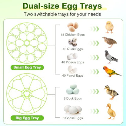18 Chicken Egg Incubator with Temperature Control, Humidity Display, Auto Egg Turner, Egg Candler, 2 Size Egg Trays, Chick Incubaotrs for Hatching Eggs Digital Incubator for Chicken, Duck Eggs - style: 18 Eggs