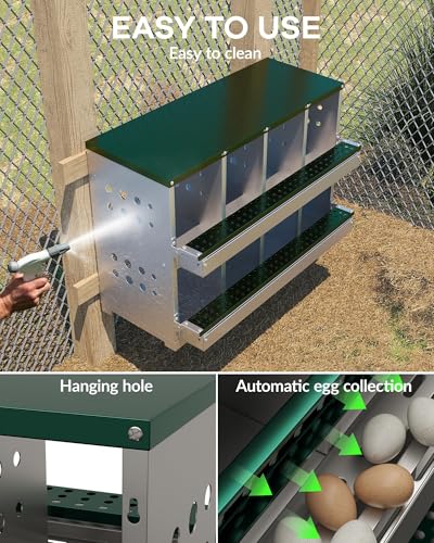 Metal Chicken Nesting Boxes - 8 Hole Wall-Mountable Laying Boxes with Lid & Roll-Away Egg Collection, Weatherproof Galvanized Steel, Includes 8 Fake Eggs for Chicken Coop, Green - color: Green, size: 8 Compartment
