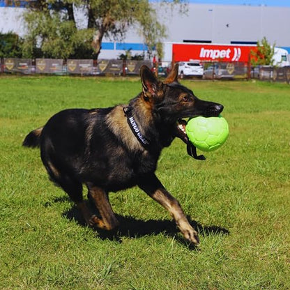 Dingo Gear Dog Ball with 1 Handle, Faux Leather, Green 7in - color: Green Ball, size: 7"