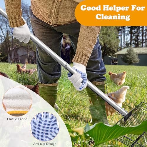 10inch Chicken Poop Scooper, Dual-Specification Pore Chicken Coop Cleaning Tools Come with Gloves Coop Scoop 4 Sections Extended with 22 to 62" Stainless Steel Adjustable Handle