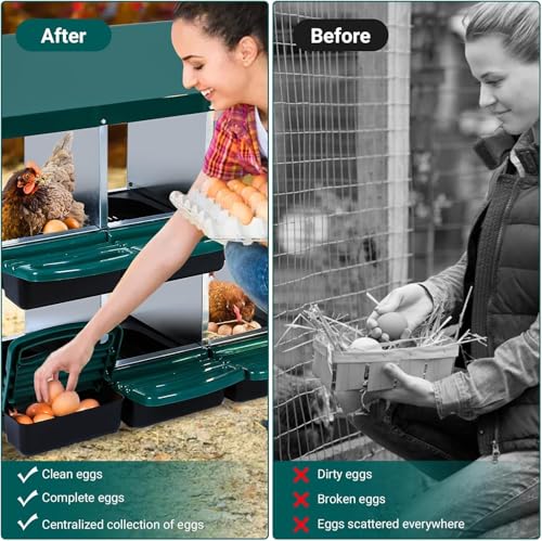 Chicken Nesting Box, 10 Compartment Roll Away Egg Laying Box for Hens, Wall Mounted & Freestanding (2 Modes of Use), Easy Egg Collection, Cleanable Pull Out Nesting Box, Grn, NL - color: Green, size: 10 - Slot