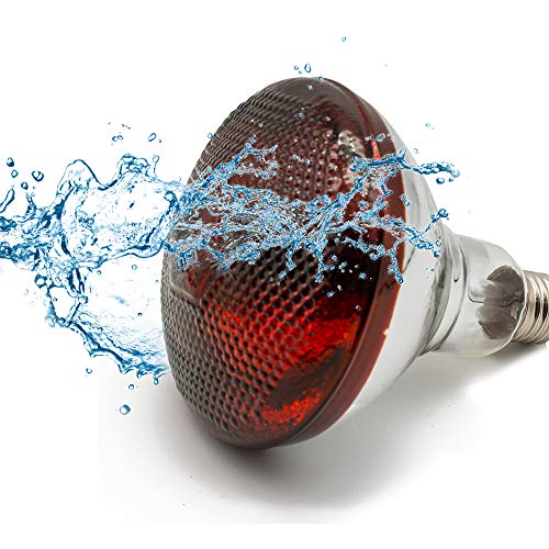 Infrared Heat Lamp Waterproof Anti-Explosion Light Bulb for Piglet Chicken Duck Birds(250w,120v)