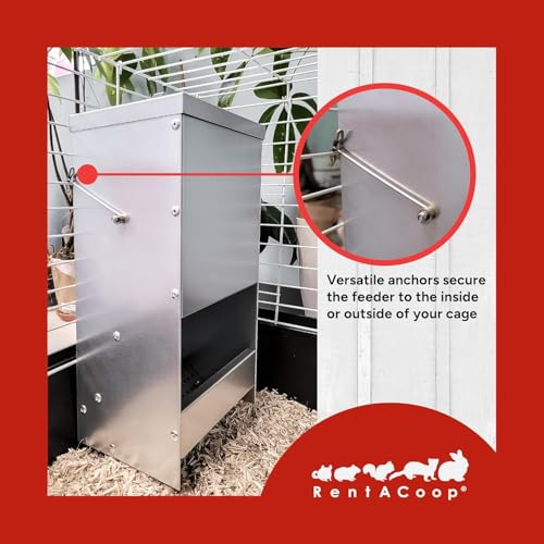 RAC Paws by RentACoop 5 lb. Metal Rabbit Feeder, Gravity Food Dispenser with Magnetized Lid, Indoor and Outdoor Feeder for Rabbits, Guinea Pigs, Ferrets & Small Animals