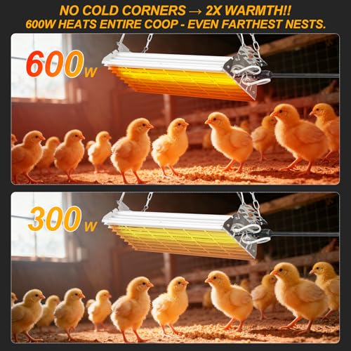Safe Chicken Coop Heater 600W with Adjustable Thermostat, for Winter Chicken Warmth in 15 Sq Ft Coops, Waterproof & Tip-Over Protection Livestock Warmer - style: upgrade pressure regulator