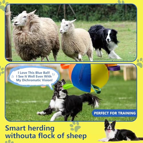 Herding Ball for Dogs, 18"/45cm | Durable Tear Resistant, Inflatable, Heavy Duty Handle Cover & Pump, Jumbo Size for Active Herding Breeds