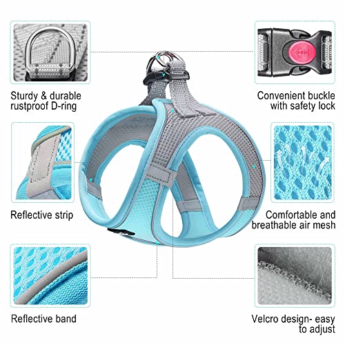 haapaw Dog Harness with Leash Set, No Pull Adjustable Reflective Step-in Puppy Harness with Thickened Padded Vest for Extra-Small/Small Medium Dogs - color: Grey / Blue, size: XS