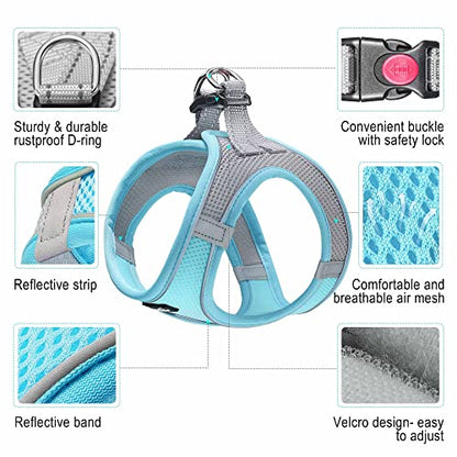 haapaw Dog Harness with Leash Set, No Pull Adjustable Reflective Step-in Puppy Harness with Thickened Padded Vest for Extra-Small/Small Medium Dogs - color: Grey / Blue, size: S